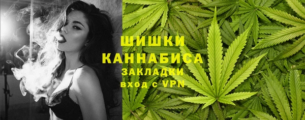 стаф Бронницы