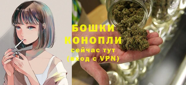 стаф Бронницы
